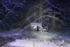 UÇURUMDAN AĞAÇ KURTARDI