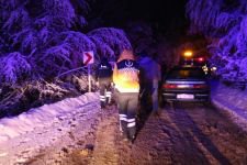 UÇURUMDAN AĞAÇ KURTARDI