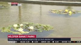 ULUSAL BASINDAN NİLÜFER PARKINA BÜYÜK İLGİ