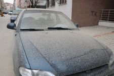 YAĞAN ÇAMURA EN ÇOK ONLAR SEVİNDİ