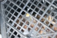 YARALI KUŞU, İŞÇİLER KURTARDI