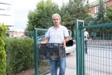 YARALI KUŞU, İŞÇİLER KURTARDI