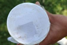 HAŞERELERE KARŞI AVCI BÖCEK ÖNLEMİ