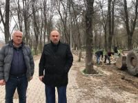 YENİÇAĞA KUŞ CENNETİ YAZA HAZIRLANIYOR