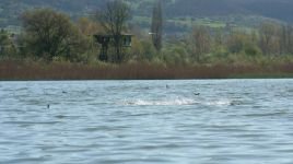 YENİÇAĞA KUŞ CENNETİ YAZA HAZIRLANIYOR