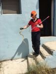 YILANLAR KENTİN DÖRT BİT YANINI SARDI