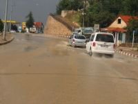 YİNE SELE TESLİM OLDULAR