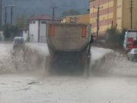 YİNE SELE TESLİM OLDULAR