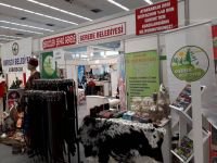 ZİRVEDE GEREDE RÜZGARI