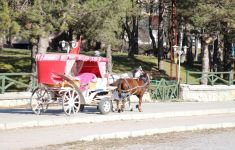 ABANT TATİLCİLERİNİ ENDİŞE SARDI