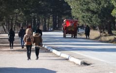 ABANT TATİLCİLERİNİ ENDİŞE SARDI
