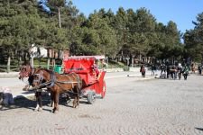 ABANT TATİLCİLERİNİ ENDİŞE SARDI