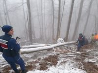 AĞACIN ALTINDA KALARAK CAN VERDİ