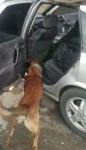 ASTSUBAY SUÇÜSTÜ YAKALANDI