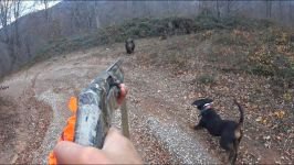 AVCI ÖLÜMDEN DÖNDÜ