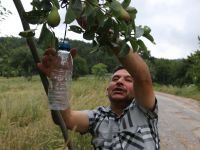 BİR GARİP FARKINDALIK ÇALIŞMASI