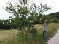 BİR GARİP FARKINDALIK ÇALIŞMASI