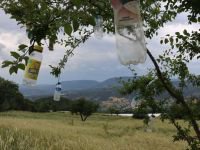 BİR GARİP FARKINDALIK ÇALIŞMASI