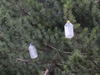 BİR GARİP FARKINDALIK ÇALIŞMASI