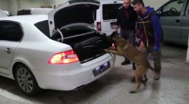 UYUŞTURUCU TAŞIYAN POLİS YAKALANDI