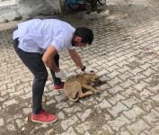 "BUGÜN BİR CAN KURTARIN"