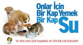 "BUGÜN BİR CAN KURTARIN"