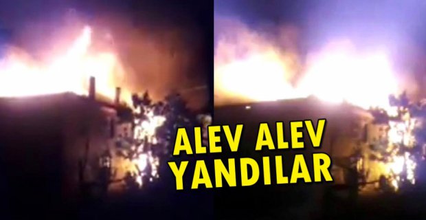 ALEV ALEV YANDILAR...