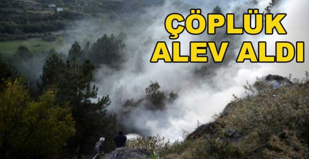 ÇÖPLÜK ALEV ALDI