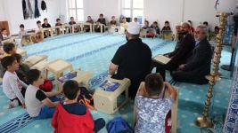 CAMİLER BU YAZ DA CIVIL CIVIL