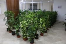 ÇİÇEKLERLER ENGELLİLER İÇİN SATILIYOR