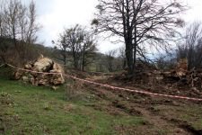 DEFİNE OPERASYONUNDA ŞOK DETAYLAR