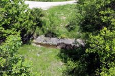 DİĞER HAYVANLARA YEM OLACAK