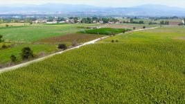 DSİ'DEN BOLU'YA BÜYÜK KATKI