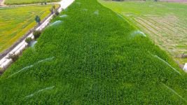 DSİ'DEN BOLU'YA BÜYÜK KATKI