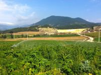 DSİ'DEN BOLU'YA BÜYÜK KATKI