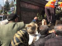 21 MART DÜNYA ORMANCILIK HAFTASI NEDENİYLE FİDAN DAĞITILDI