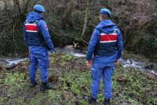 GEYİK DONMAK ÜZEREYKEN BULUNDU