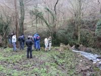 GEYİK DONMAK ÜZEREYKEN BULUNDU