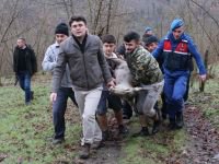 GEYİK DONMAK ÜZEREYKEN BULUNDU