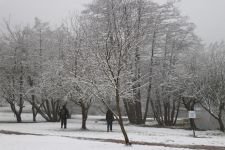 GÖLCÜK BEYAZA BÜRÜNDÜ