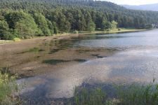 GÖLCÜK TEMİZLENECEK..