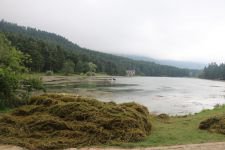 GÖLCÜK TEMİZLENİYOR !