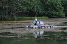 GÖLCÜK TEMİZLENİYOR !