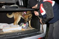 GÖLKÖY'DE OLAĞANÜSTÜ HAL!