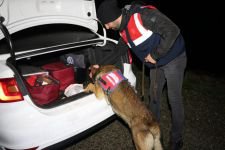 GÖLKÖY'DE OLAĞANÜSTÜ HAL!