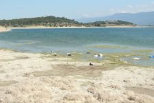 GÖLKÖY'DEKİ KİRLİLİK İSYAN ETTİRDİ