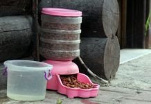 HAYVANLARA HAYAT VEREN MUHTAR