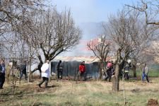 HOROZLARI İÇİN CANINDAN OLUYORDU