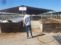 İLAÇLAMA ÇALIŞMALARI DEVAM EDİYOR