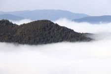 KARTPOSTALLIK GÖRÜNTÜLER..